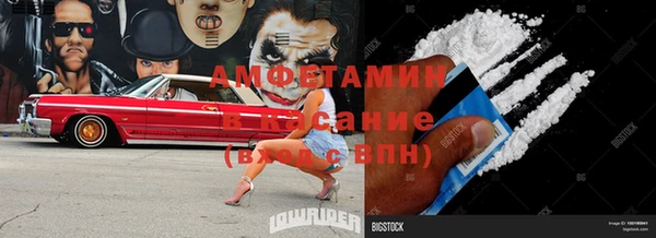 шишки Арсеньев