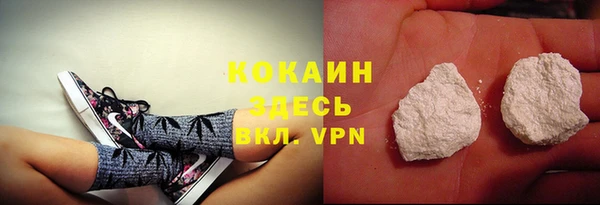 ГАЛЛЮЦИНОГЕННЫЕ ГРИБЫ Аркадак