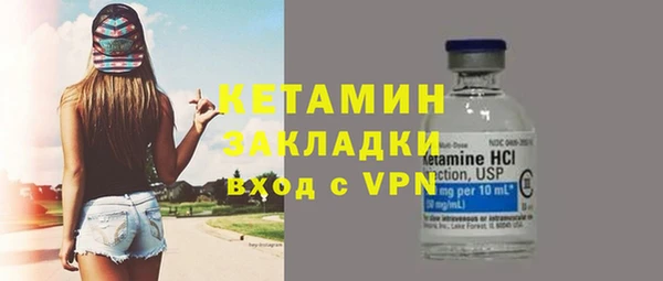 шишки Арсеньев