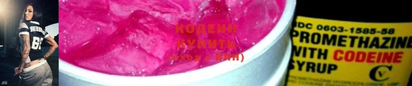 ГАЛЛЮЦИНОГЕННЫЕ ГРИБЫ Аркадак