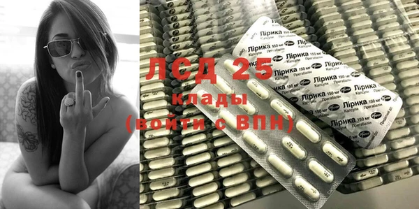 шишки Арсеньев