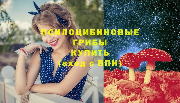 шишки Арсеньев