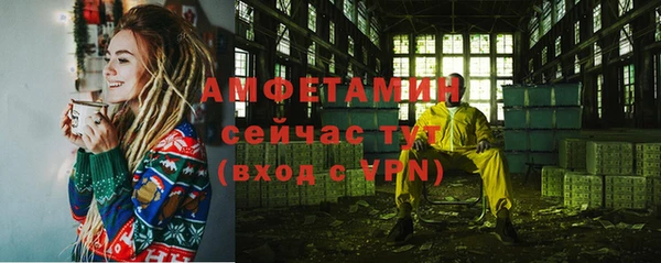 шишки Арсеньев