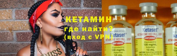 шишки Арсеньев