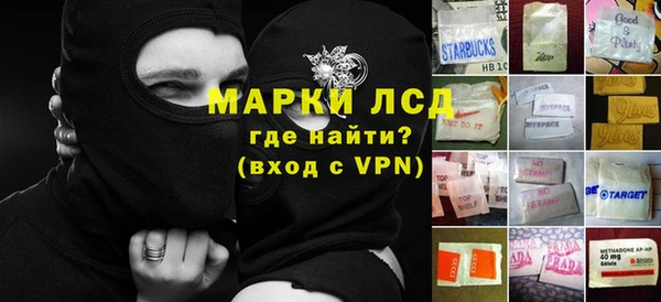 ГАЛЛЮЦИНОГЕННЫЕ ГРИБЫ Аркадак
