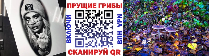 Псилоцибиновые грибы Cubensis  Купить где  Шебекино 