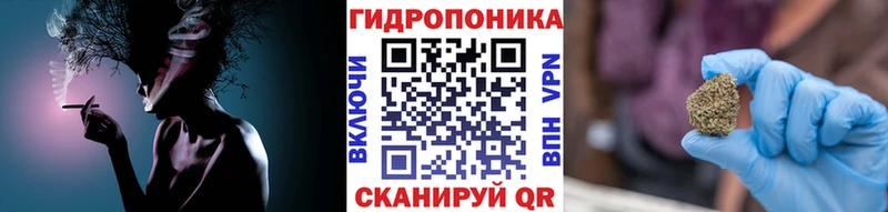 Бошки Шишки OG Kush Купить закладки Шебекино
